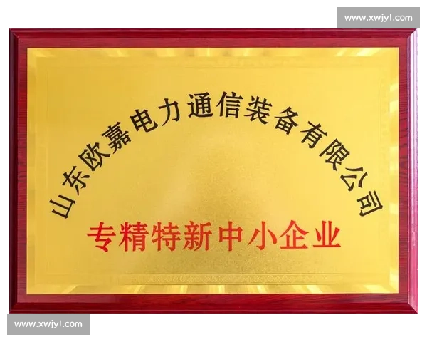以铜牌荣誉为起点探寻努力与坚持铸就非凡成就的故事