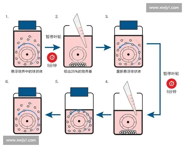 科学高效训练安排方案优化与执行策略全解析 科学高效训练安排方案优化与执行策略全解析