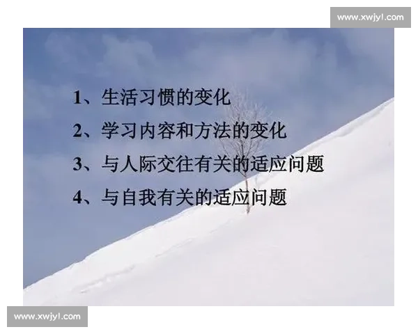 体育心理健康促进策略与运动员心理适应能力提升研究探索